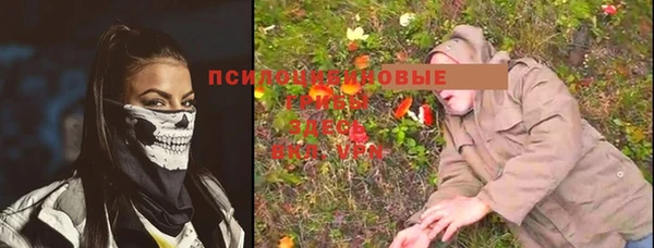 дживик Ростов