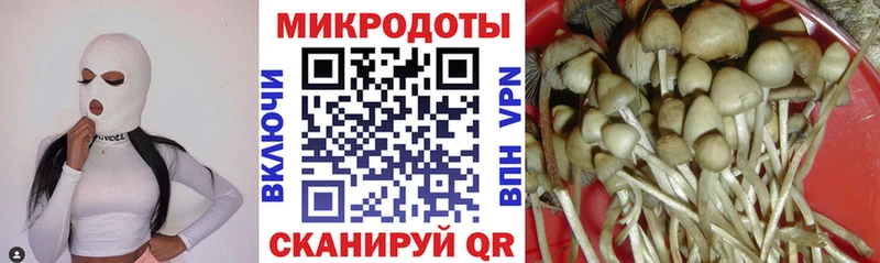 Псилоцибиновые грибы мицелий  Лобня 